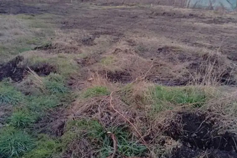 Plot in Oblast Burgas, Livada