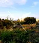 Парцел в Бургас, с. Лозенец