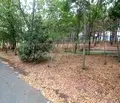 Снимка 2 — Парцел в Бургас, с. Лозенец
