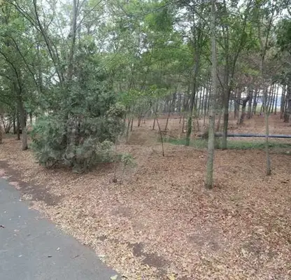 Photo 2 — Plot in Oblast Burgas, Lozenec