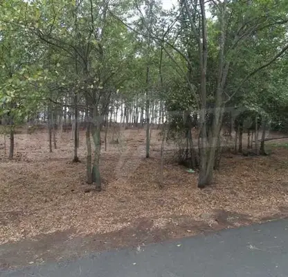 Photo 4 — Plot in Oblast Burgas, Lozenec