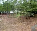 Снимка 5 — Парцел в Бургас, с. Лозенец