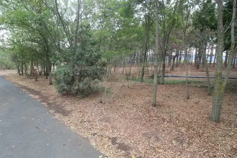 Plot in Oblast Burgas, Lozenec