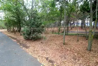 Парцел в Бургас, с. Лозенец