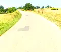 Снимка 3 — Парцел в Бургас, с. Лозенец