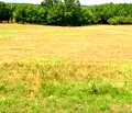 Снимка 4 — Парцел в Бургас, с. Лозенец