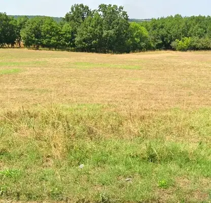Photo 4 — Plot in Oblast Burgas, Lozenec