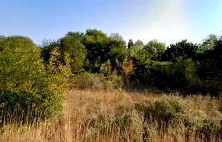 Парцел в Бургас, с. Лозенец