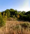 Парцел в Бургас, с. Лозенец