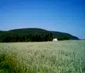 Снимка 4 — Парцел в Бургас, с. Медово