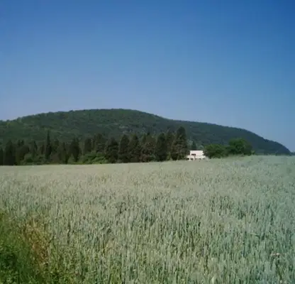 Снимка 4 — Парцел в Бургас, с. Медово