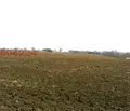 Снимка 4 — Парцел в Бургас, с. Медово