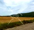 Снимка 2 — Парцел в Бургас, с. Медово