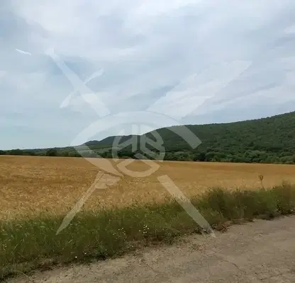 Photo 2 — Plot in Burgas, Medovo