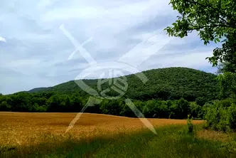 Парцел в Бургас, с. Медово