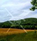Парцел в Бургас, с. Медово