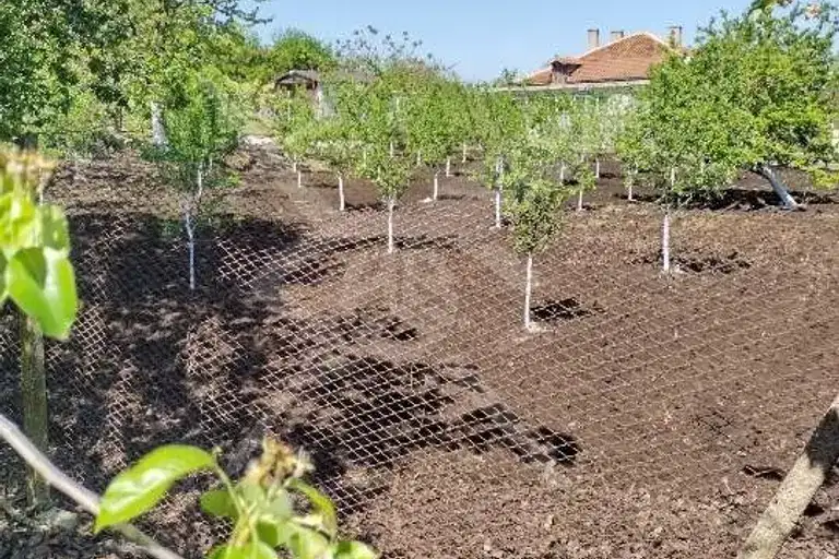Plot in Oblast Burgas, Peshtersko