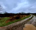 Снимка 3 — Парцел в Бургас, с. Писменово