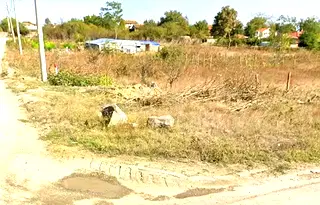 Парцел в Бургас, с. Полски извор