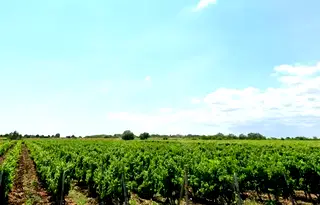 Парцел в Бургас, с. Присад
