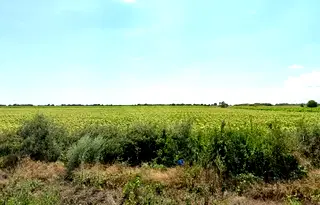 Парцел в Бургас, с. Присад