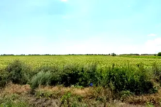 Парцел в Бургас, с. Присад