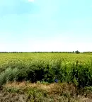 Парцел в Бургас, с. Присад