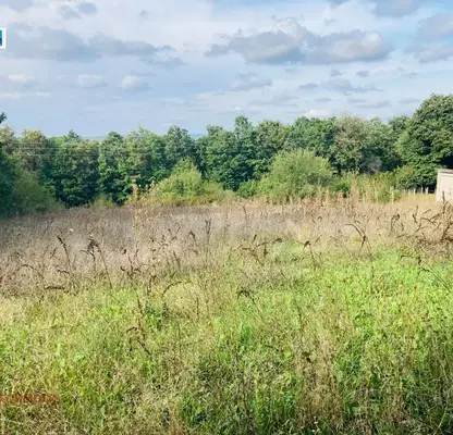 Photo 2 — Plot in Oblast Burgas, Priselci