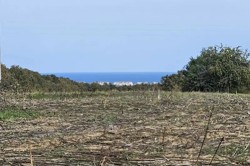 Plot in Oblast Burgas, Priselci