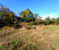 Снимка 3 — Парцел в Бургас, с. Раковсково