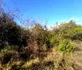 Снимка 4 — Парцел в Бургас, с. Раковсково
