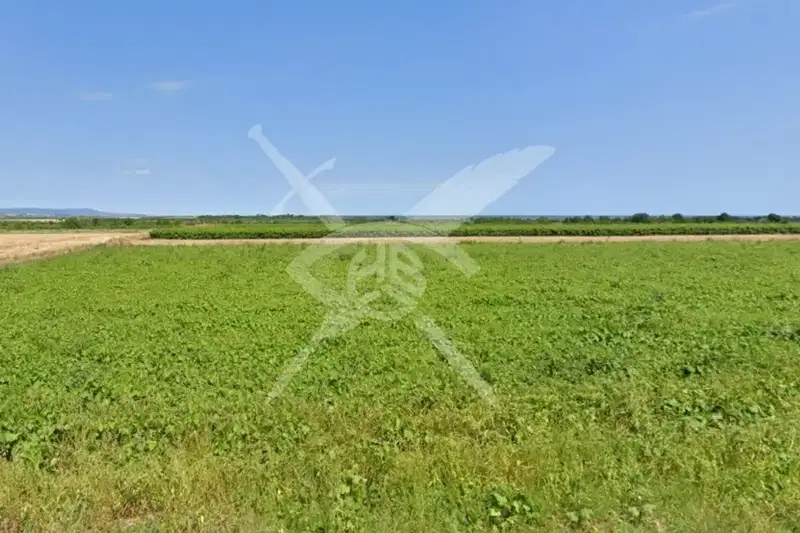 Plot in Oblast Burgas, Ravadinovo