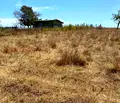 Снимка 4 — Парцел в Бургас, с. Равадиново