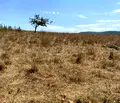 Снимка 2 — Парцел в Бургас, с. Равадиново
