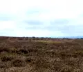 Снимка 3 — Парцел в Бургас, с. Равда