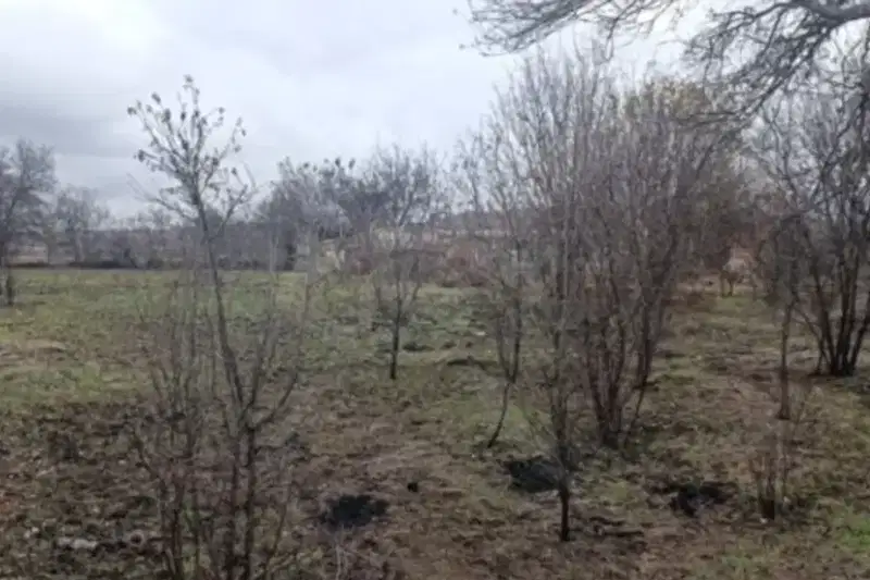 Парцел в Бургас, с. Росен