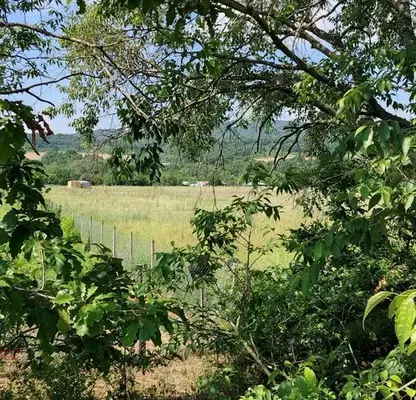 Photo 4 — Plot in Oblast Burgas, Rosen