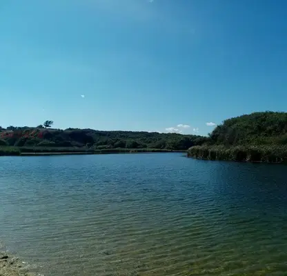 Photo 5 — Plot in Oblast Burgas, Sinemorec