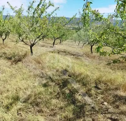Photo 2 — Plot in Oblast Burgas, Stracin