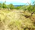 Снимка 3 — Парцел в Бургас, с. Страцин