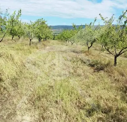 Photo 3 — Plot in Oblast Burgas, Stracin