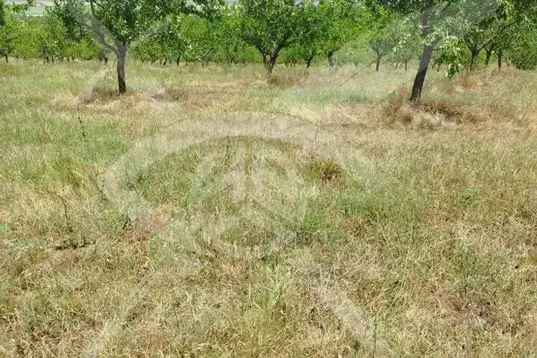 Plot in Oblast Burgas, Stracin