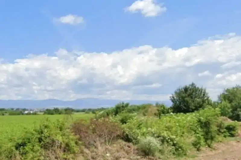 Plot in Oblast Burgas, Svetlina