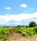 Парцел в Бургас, с. Светлина