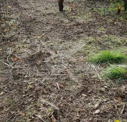 Photo 3 — Plot in Oblast Burgas, Syrnevo