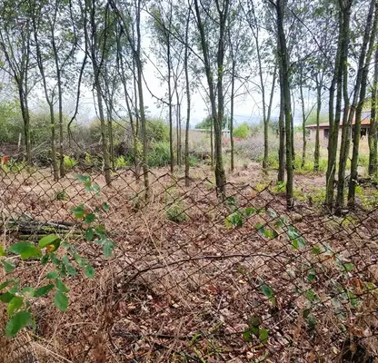 Photo 2 — Plot in Oblast Burgas, Trystikovo