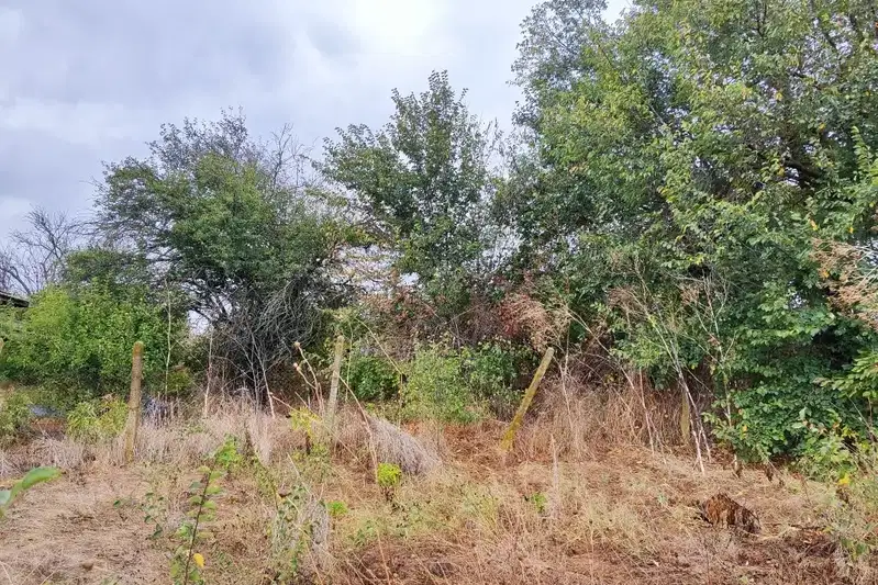 Plot in Oblast Burgas, Trystikovo