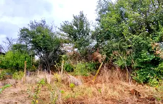 Парцел в Бургас, с. Тръстиково