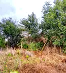 Парцел в Бургас, с. Тръстиково