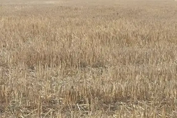 Парцел в Бургас, с. Тънково